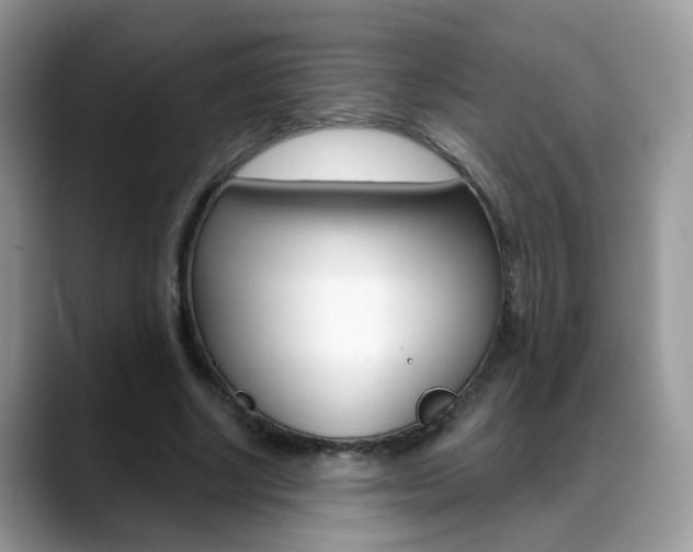 X0000088880634200706080742