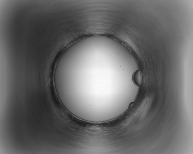 X0000088880635200706080742