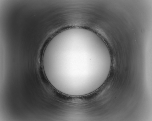 X0000088880636200706080742