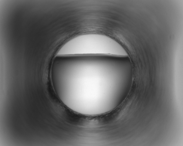 X0000088880640200706080742