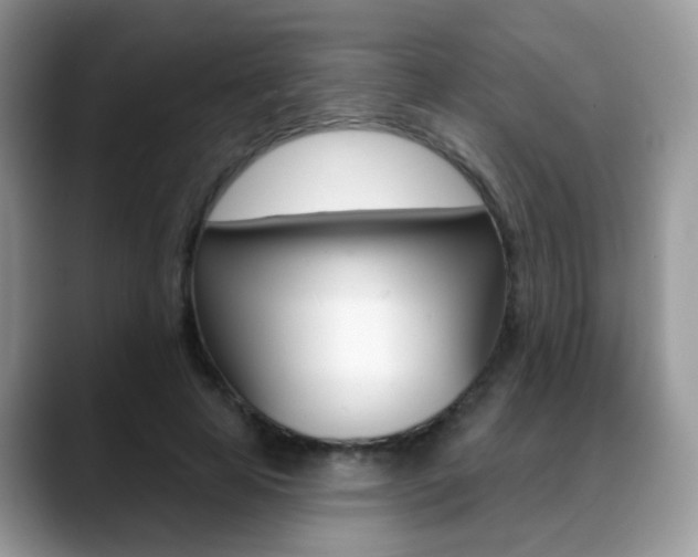 X0000088880641200706080742