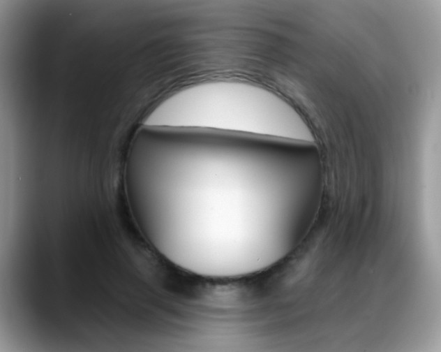 X0000088880645200706080742