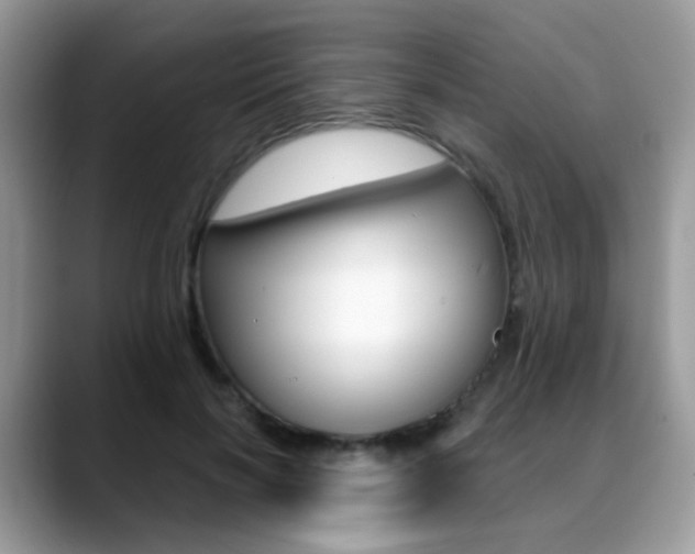 X0000088880646200706080742