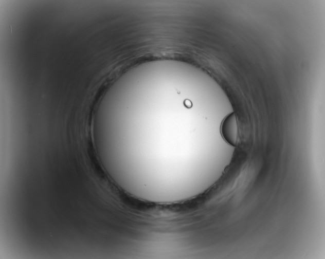 X0000088880648200706080742