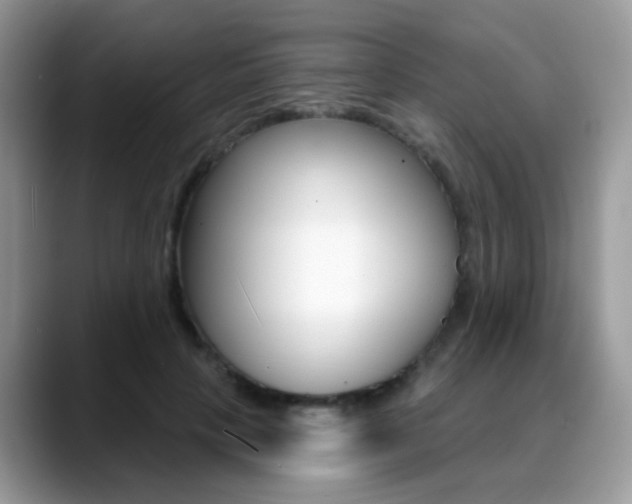 X0000088880649200706080742