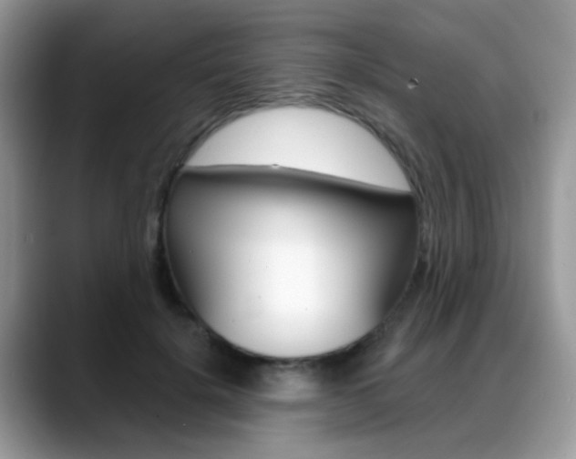 X0000088880652200706080742
