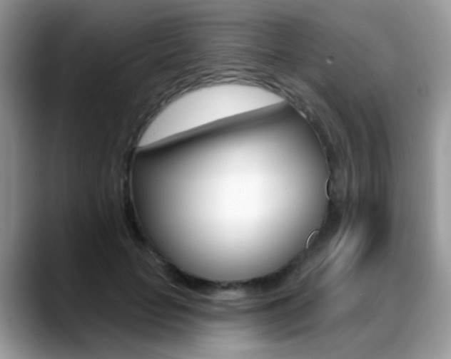 X0000088880653200706080742