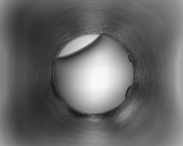 X0000088880656200706080742