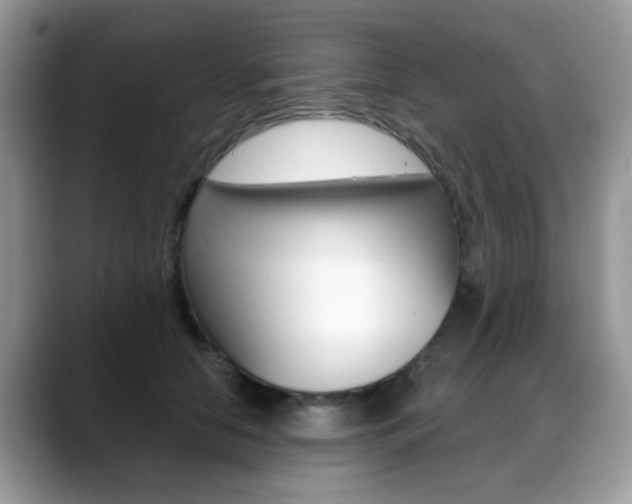 X0000088880658200706080742