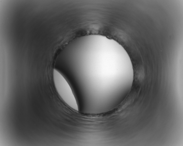 X0000088880661200706080742
