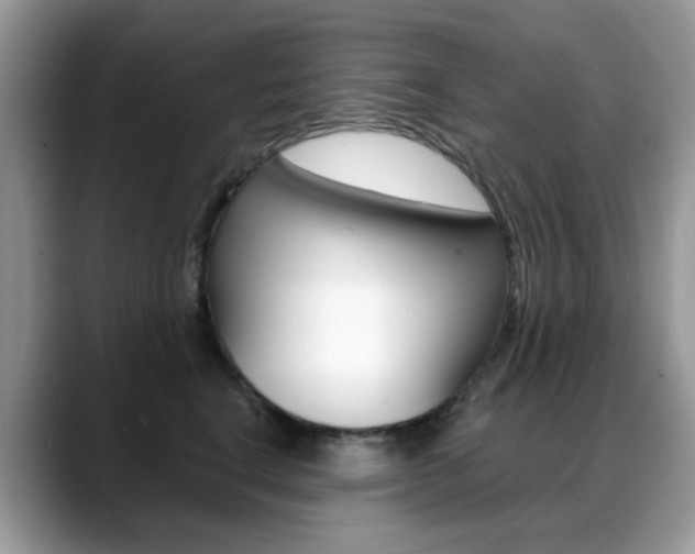 X0000088880664200706080742