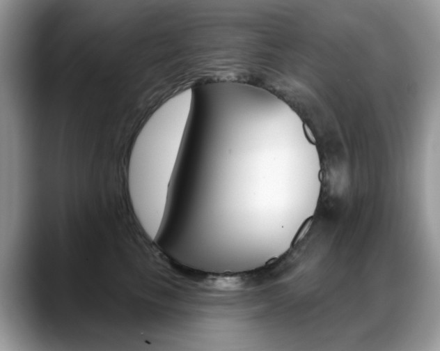 X0000088880665200706080742