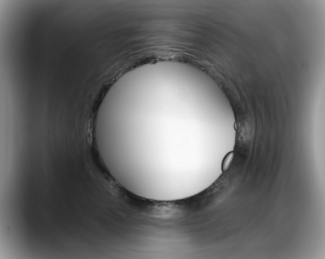 X0000088880666200706080742