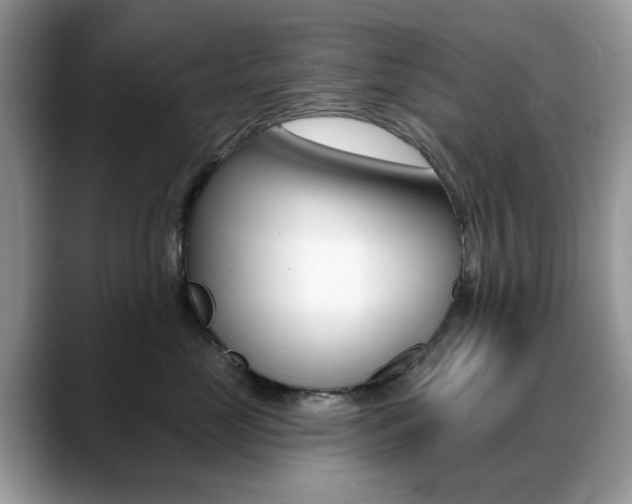 X0000088880669200706080742
