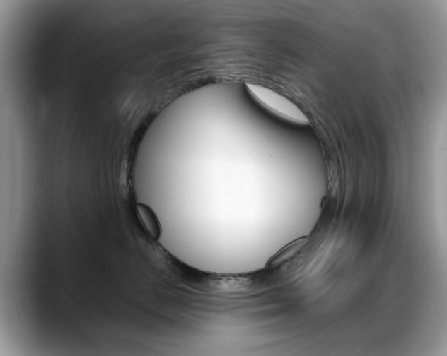 X0000088880670200706080742