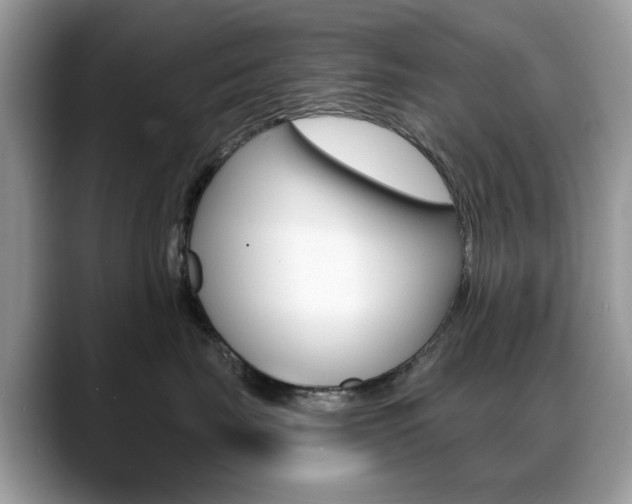 X0000088880671200706080742