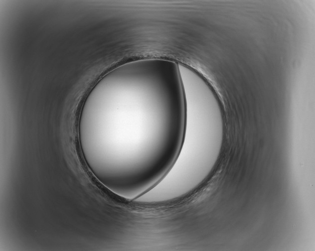 X0000088880673200706080741
