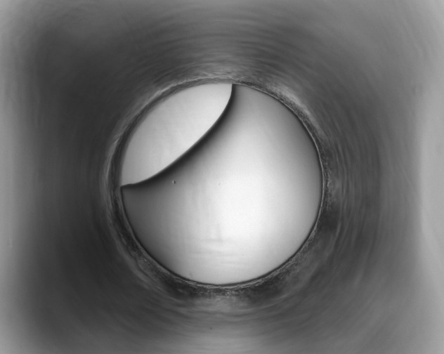 X0000088880674200706080741