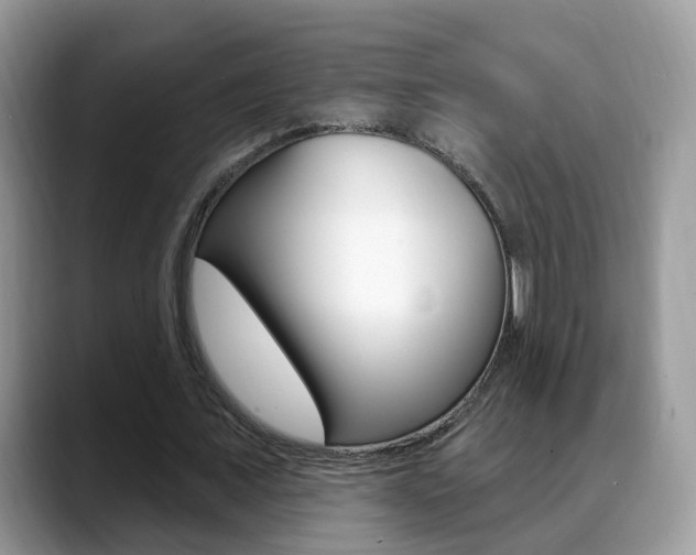 X0000088880675200706080741