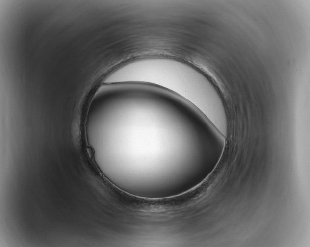X0000088880677200706080741