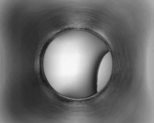 X0000088880678200706080741
