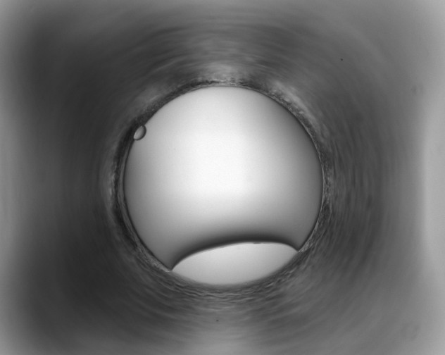 X0000088880679200706080741