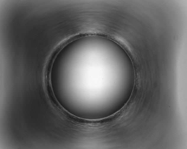 X0000088880680200706080741