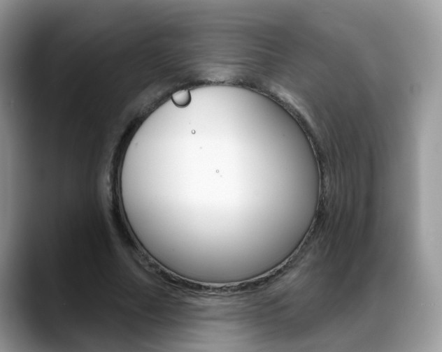 X0000088880682200706080741