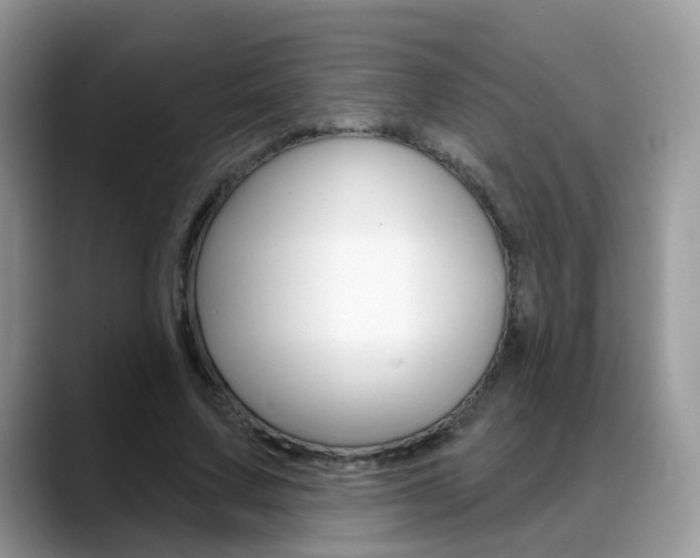 X0000088880683200706080741
