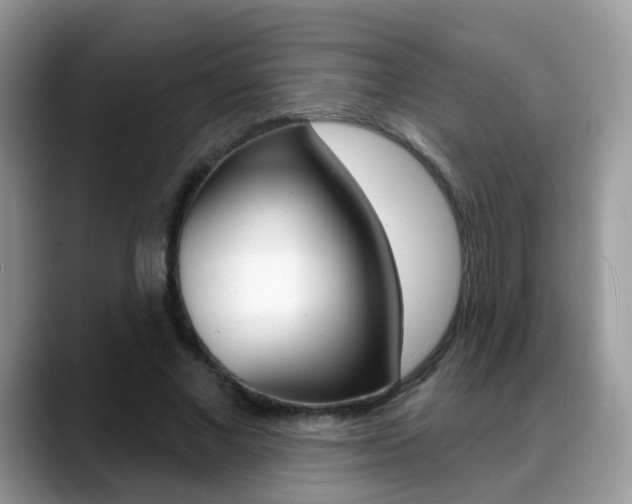 X0000088880685200706080741