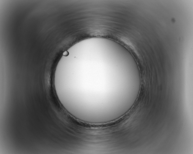 X0000088880686200706080741