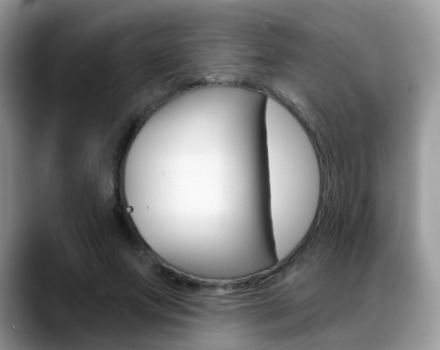X0000088880687200706080741