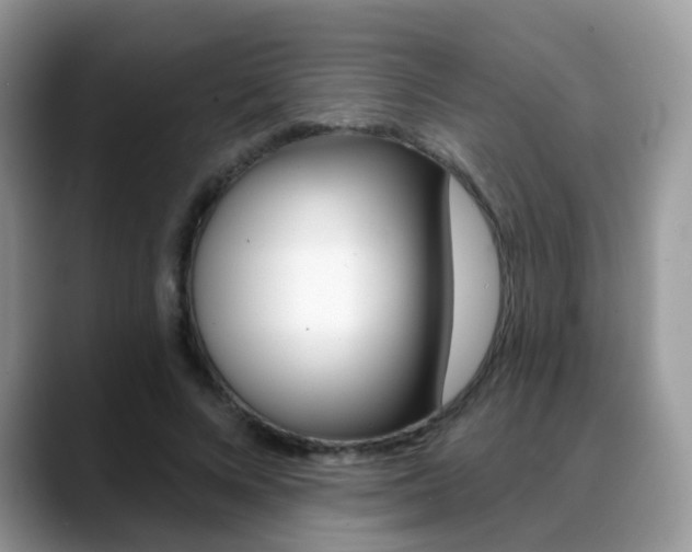 X0000088880688200706080741