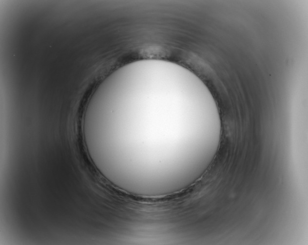 X0000088880690200706080741