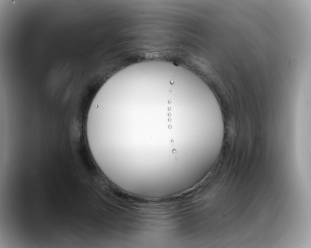 X0000088880691200706080741