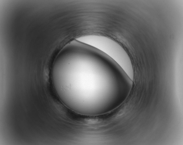 X0000088880693200706080741