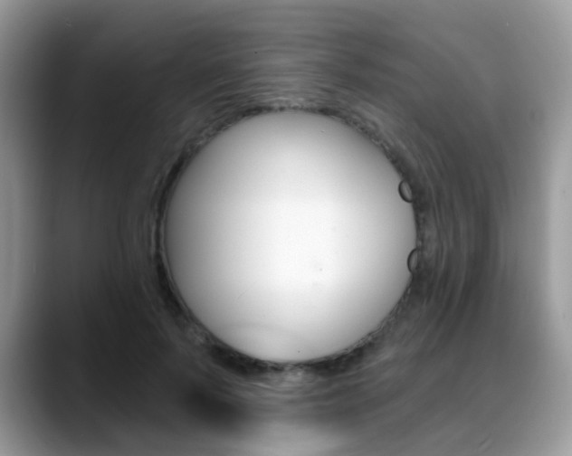 X0000088880695200706080741
