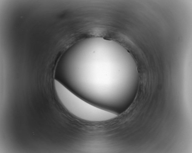 X0000088880696200706080741