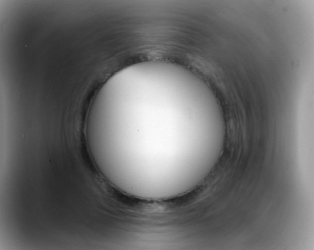 X0000088880698200706080741
