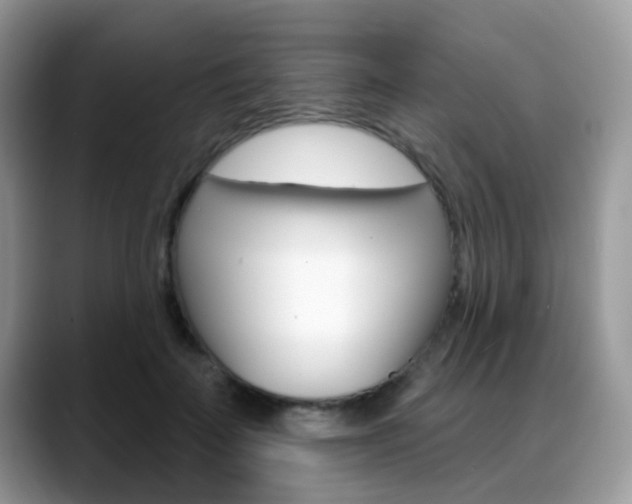X0000088880699200706080741
