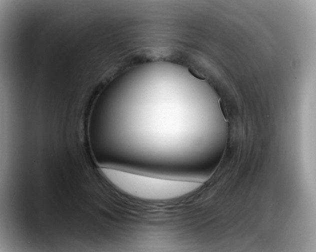 X0000088880700200706080741