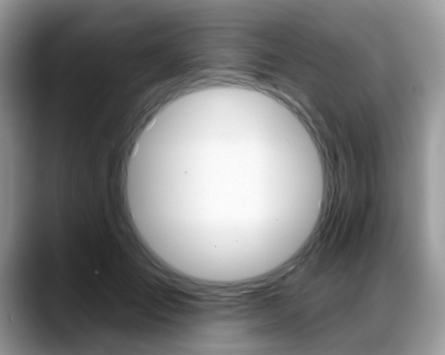 X0000088880701200706080741