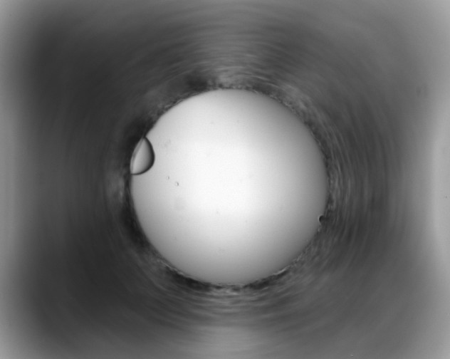 X0000088880703200706080741