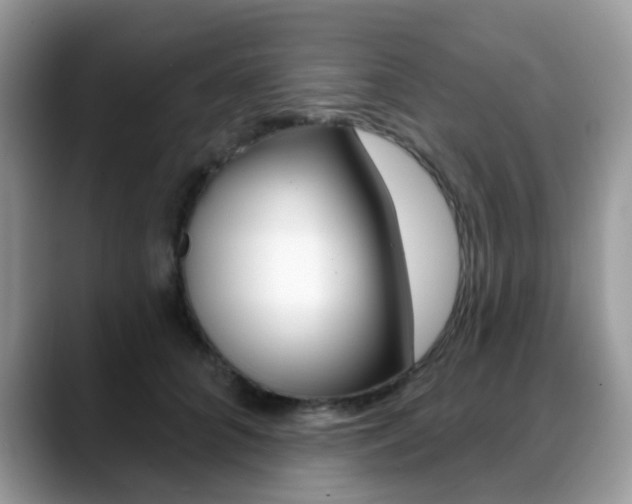 X0000088880704200706080741