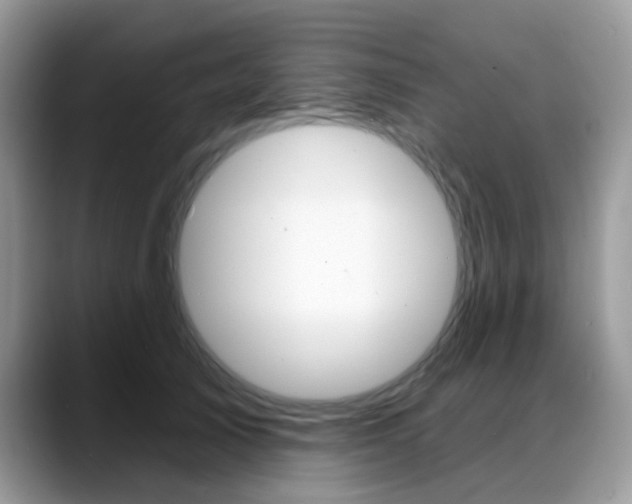 X0000088880705200706080741