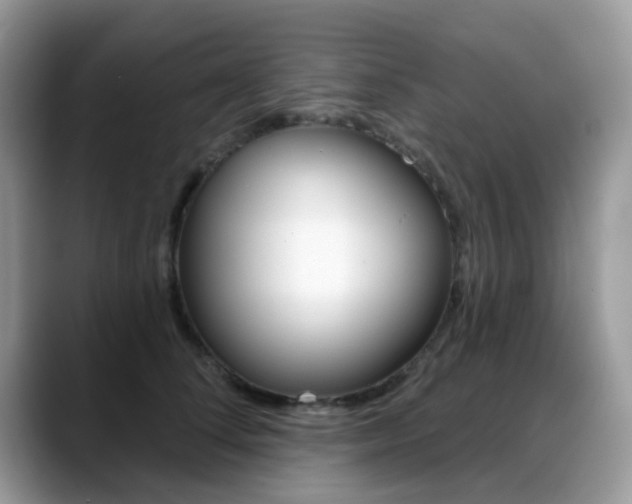 X0000088880708200706080741