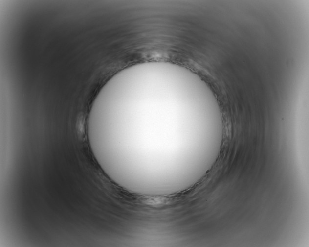 X0000088880709200706080741