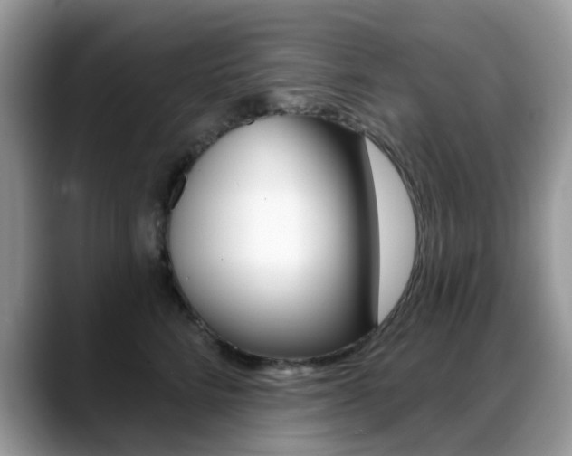 X0000088880712200706080741