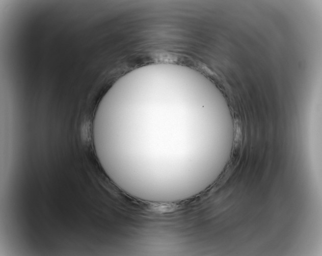 X0000088880713200706080741