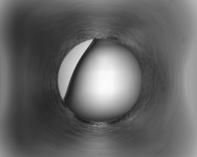 X0000088880720200706080741